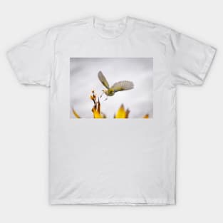 Waxeye in  flight above flowers just feeding on. T-Shirt